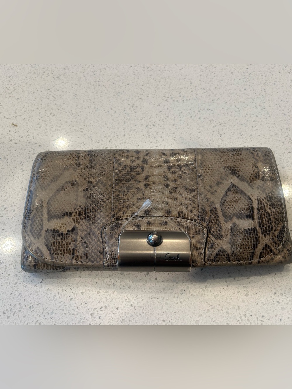Coach Taupe Snakeskin-Print Leather Clutch with Gunmetal Turn-Lock